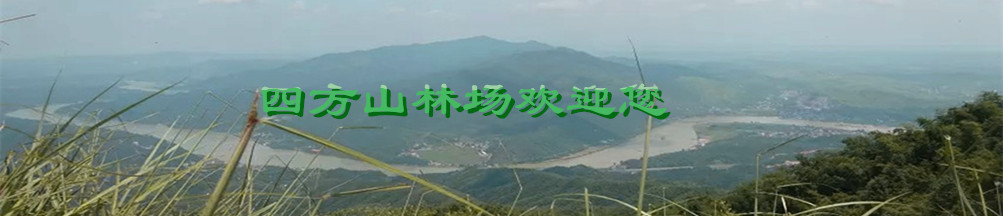 ����ͼƬ��